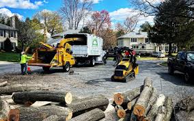 Best Firewood Processing and Delivery  in Rio Grande, NJ