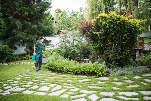 Best Lawn Watering Services  in Rio Grande, NJ
